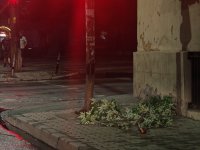 Буря причини щети и прекъсвания на електрозахранването в община Габрово