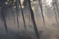 Огнен ад в Испания: Десетки хиляди са застрашени от горски пожари