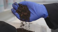 Във Великобритания правят електричество от бактерии в почвата