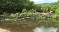 След трагедията в река Струма: Деца продължават да скачат в опасните вирове