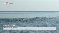Созопол празнува Света Марина с атрактивен плувен маратон