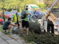 Доброволци помагат в почистването на столичните квартали "Изток" и "Дианабад" (СНИМКИ)