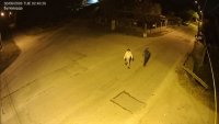 Нова следа по случая с изчезналата Наталия: Доброволци твърдят, че са видели пастрока ѝ