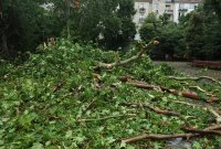 Продължава отстраняването на щетите след бурята в Пловдив