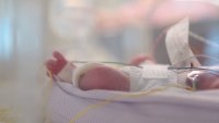 Чудо! Еднояйчни четиризначки се родиха в Австралия