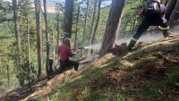 Пожарът в Пирин е потушен