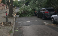 Силна буря връхлетя Югозападна България