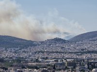 Тежка остава ситуацията с горските пожари в Гърция и Турция