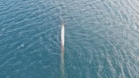 Проверяват тръба, излязла над морето край Созопол