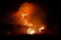 Голям горски пожар бушува на гръцкия остров Парос, издадени са предупреждения за евакуация