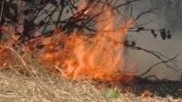 Готови ли са властите във Варна за борбата с горски пожари?