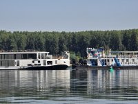Изтеглят заседналия круизен кораб в река Дунав (СНИМКИ)