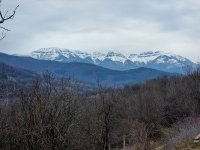 Жена на 60 години е загинала в Стара планина