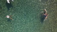 Езда в морето - как хора и животни се разхлаждат в жегите в Хърватска