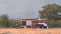 Около 2000 декара площ е засегнал пожарът край село Стрелци