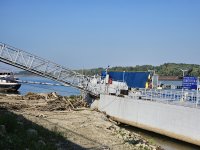 Ниското ниво на река Дунав заплашва популацията на речната риба