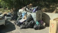 След повече от седем месеца: Нова фирма поема почистването в районите "Слатина", "Подуяне" и "Изгрев"
