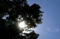 Задействаха системата BG-ALERT заради жегата в Монтана