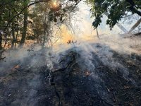 Около 1500 декара е засегнал пожарът край тополовградското село Българска поляна