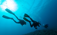 Румънски водолази унищожиха два дрона в района на Черно море