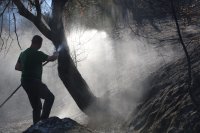 Пожарът в благоевградското село Дъбрава е овладян