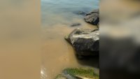 Фекални води се изляха на плаж в Свети Влас, санкционират ВиК &ndash; Бургас