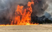 Героите от нощта: Петима доброволци спасиха Българово от огнен капан