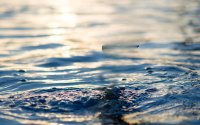 Румънска туристка се удави в морето край Слънчев бряг