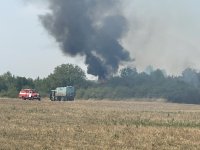 Пожар гори във вилна зона на Мездра (СНИМКИ)