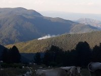 Два пожара в Пиринско се запалиха за часове
