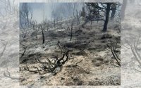 Пожар гори в труднодостъпна местност между гоцеделчевските села Балдево и Скреботно