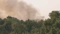 Дете е причинило големия пожар в Хасковско, който обхвана 14 хиляди декара