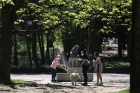 Неправителствени организации недоволни заради полицейските акции срещу карането на колело в парковете в София