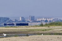 Ниското ниво на Дунав: как сушата се отразява на икономиката и региона?