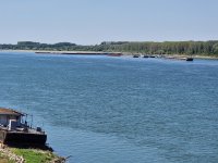 Повишение на Дунав се отчита в половината български участък