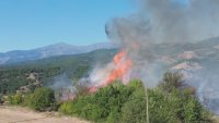 Пожарите у нас с 30% по-малко в сравнение с последните две години