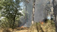 Large Fire Breaks Out Near Burgas&mdash;Dry Grass and Bushes Are Burning (PHOTOS and VIDEO)