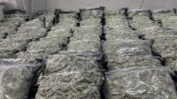Разкриха модерна наркооранжерия в къща в Змейово, иззеха 68 кг марихуана (СНИМКИ И ВИДЕО)
