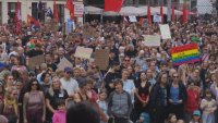 След вота в Саксония - Анхалт: Протести срещу &bdquo;Алтернатива за Германия&ldquo;