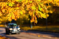 Предимно слънчево време днес и утре