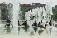 Скок на температурите във вечерните часове в България за последните 20 години, първенец е Плевен, следван от София и Благоевград