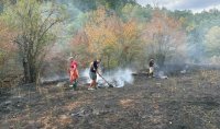 Огнеборци и доброволци спасиха гората на село Стакевци до Белоградчик