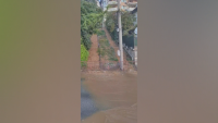 Кална вода заля улици във Велико Търново, от ВиК увериха - не е отпадна