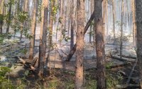 Продължава гасенето на пожара над берковското село Лесковец (СНИМКИ)