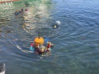 Акция за по-чисто море: Доброволци чистят морското дъно край Несебър