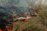 Техническа неизправност в трактор предизвика пожара в Берковския Балкан, изгоряха 900 декара