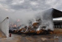 Пожар пламна в кравеферма край хасковското село Конуш (СНИМКИ)