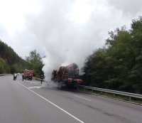 Камион с дървесина пламна на прохода Предела