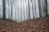 Облачно, дъждовно, хладно и ветровито време