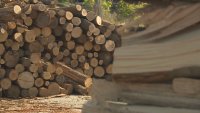 Преди зимата: Колко ще струва топлината в домовете?